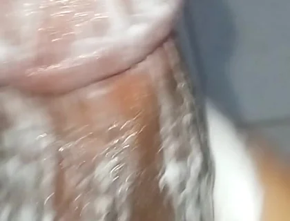 Allmylinksali