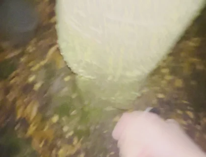 Naked in the Public Parking Lot