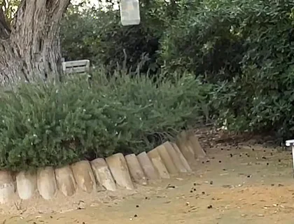 Agf: I Have Fun with My Friend in the Park in Full View of Everyone! Pee Included.