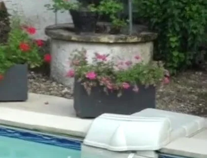 Real straight boy sucking step daddy cock in exhib