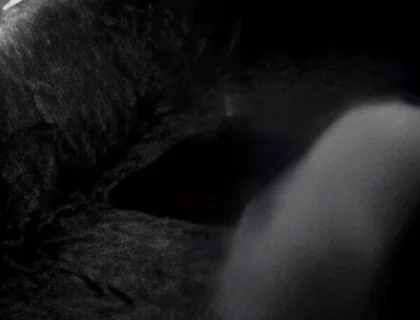 Hump Masturbation Black and White with the First Real Webcam in 1996