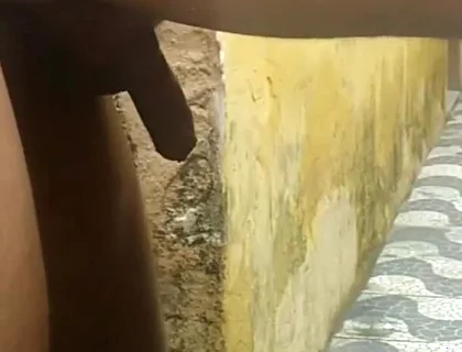 My Neighbor Loves to Play with Me in the Backyard