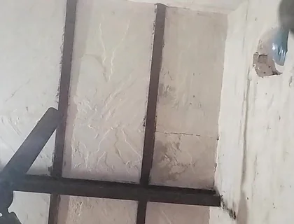 Big Indian Cock