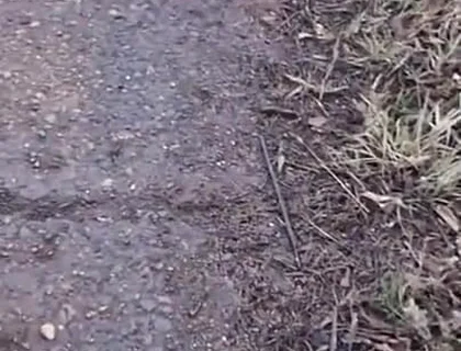 Fuck a Taxi Driver for a Free Ride, Big Cocks, Public Sex, and Lots of Cum!