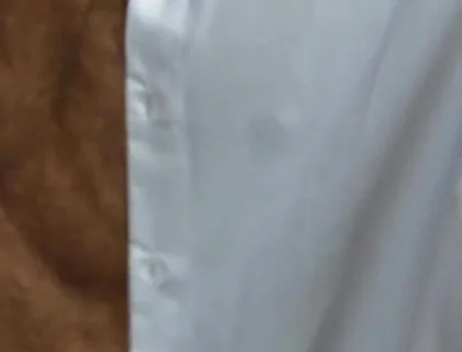 The Naughty Men in the Office