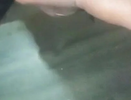 Bhabhi Pussy Hole Sucking College Room