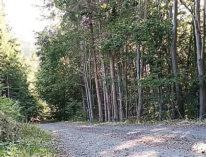 Scooter Rider Outdoor Masturbation