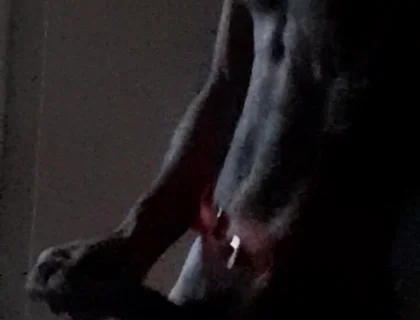 Xmas Masturbation