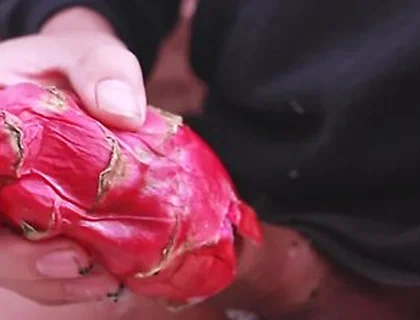 I Was So Horny I Used A Dragon Fruit To Jerk Off And Then Took A Long Piss
