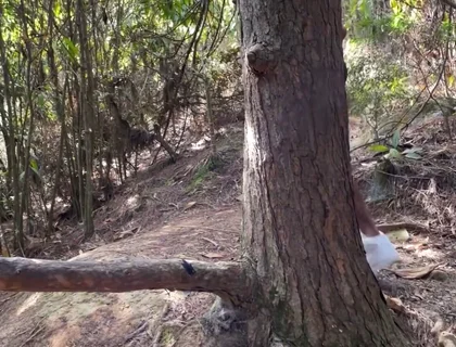 A Curious Heterosexual Boy Saw Me Masturbate in the Forest and We Ended up Fucking