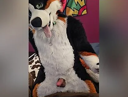 Pouring Cum Angrybarks Edges With You To Denied Orgasm Over And Over Until Both Of You