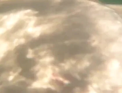 I Cum Just for the Pleasure of Feeling Free, Naked on a Public Beach