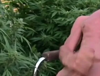 Cumshot Outdoors