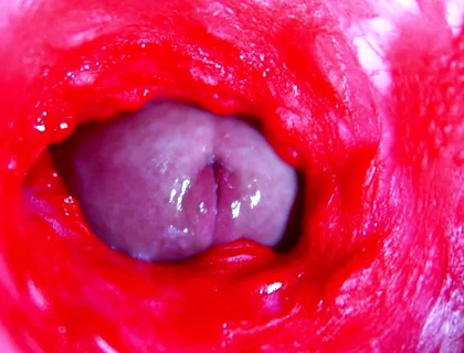 Extreme close-up ASMR head inside wet pussy