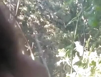 Pissing in My Backyard