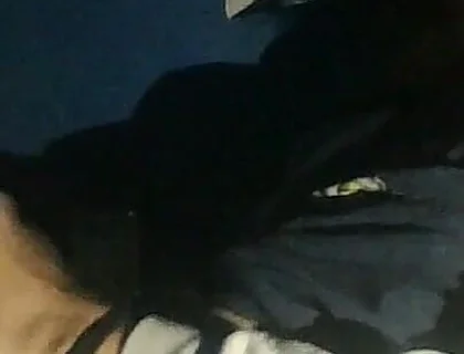 Watching Videos of Me Jerking