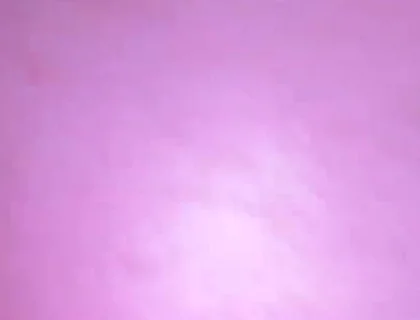 Anal Fun