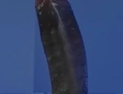 Sucking a Huge Black Cock in a Glory Hole