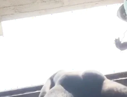 Doggy Bareback Below View