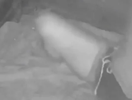 During His Jog, a Guy Discovers a Young Camper and Submits Him - Caught on Night Vision Cam