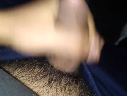 Pleasure in the Afternoon