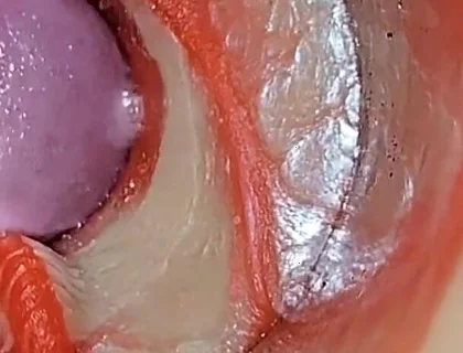 Compilation Creampie Part 2 POV