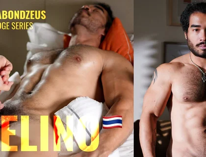 The Edge Series - Felino