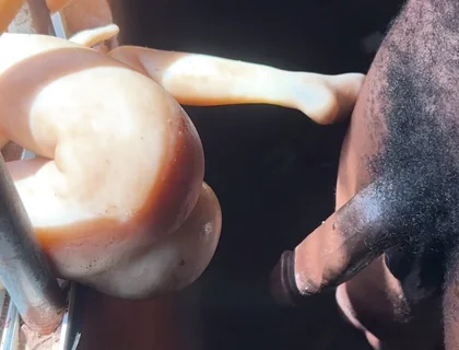 The Prisoner Cum Hard Needed to Help Cum More