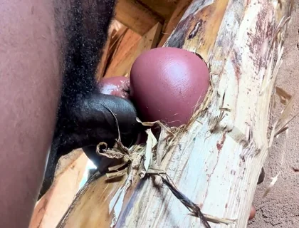 Ass Is Very Sweet in My Prison Room