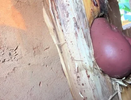 The Prisoner Find Hard Way to Sex