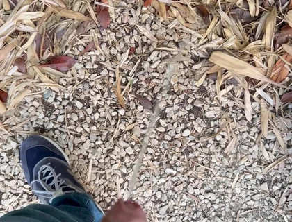 Peeing in the Garden