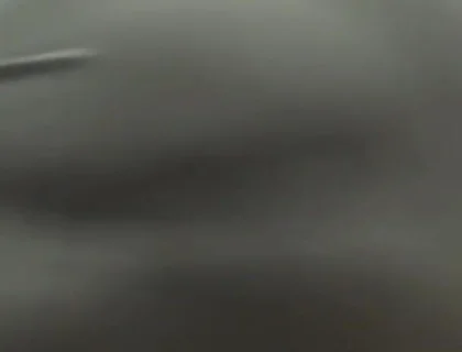 Essasexe 2