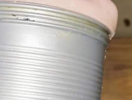 Deep Fucking My Fleshlight