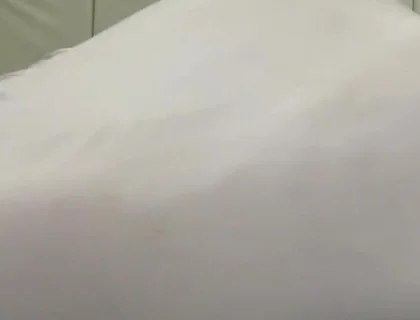 Essa Fake