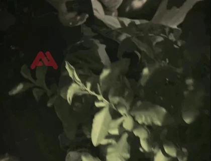 Amateur Boy Sucks a Guy He Found Jerking-off in the Street