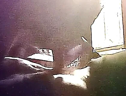 My Neighbor's Son Visits Me for Oral Sex in Secret