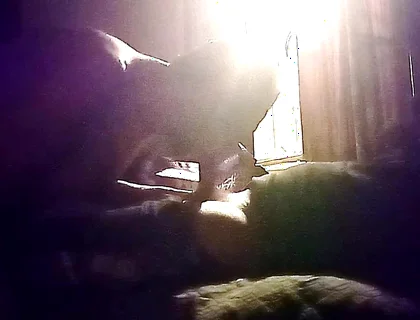 My Neighbor's Son Visits Me for Oral Sex in Secret