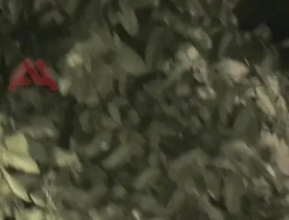 Amateur Boy Sucks a Guy He Found Jerking-off in the Street