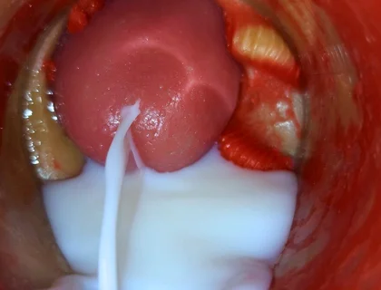 Inside POV Camera Captures an Intense Climax