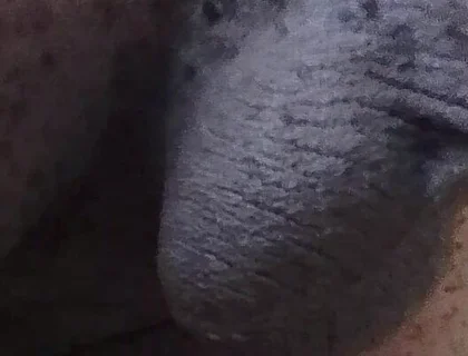 Come See My Hairy Huge Balls