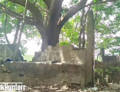 Masturbating in the Park