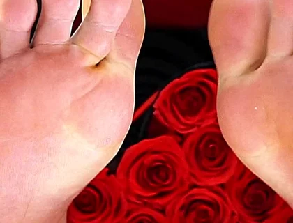 San Valentine's Master Feet Edition