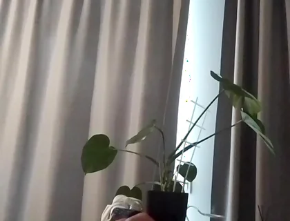 Home Masturbation