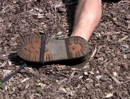 Marshall - Chapter 1