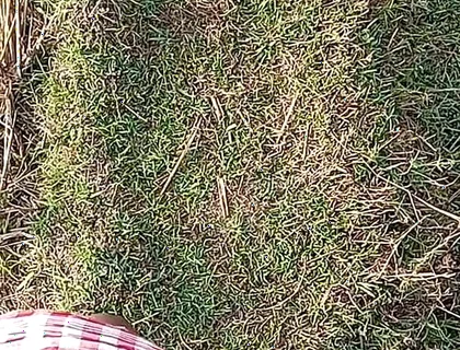 Gay Boy Outdoor Night Pussy Hole Sucking