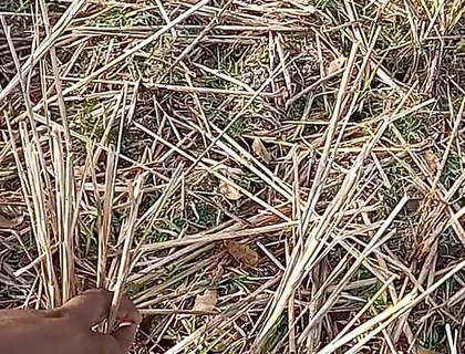 Bhabhi Gay Boy Outdoor Masterbate Pussy Hole