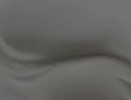 This Ass