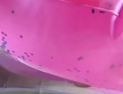 Beautiful inflatable swimrings in my bed