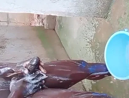 BBC Massage Orgys in Africa