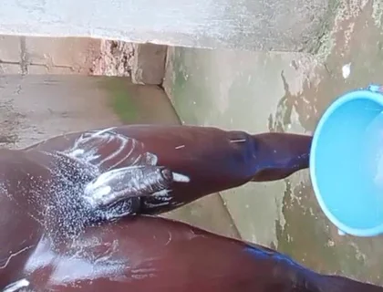 Wow Big Dick Workouts Experience